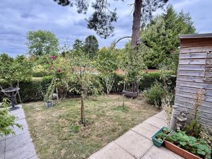 Photo 11- click for photo gallery